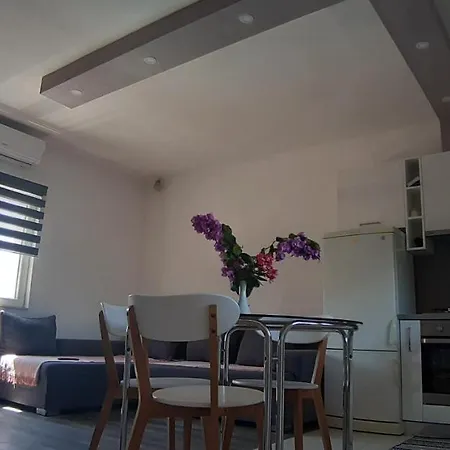 Apartment Katarina Pakoštane