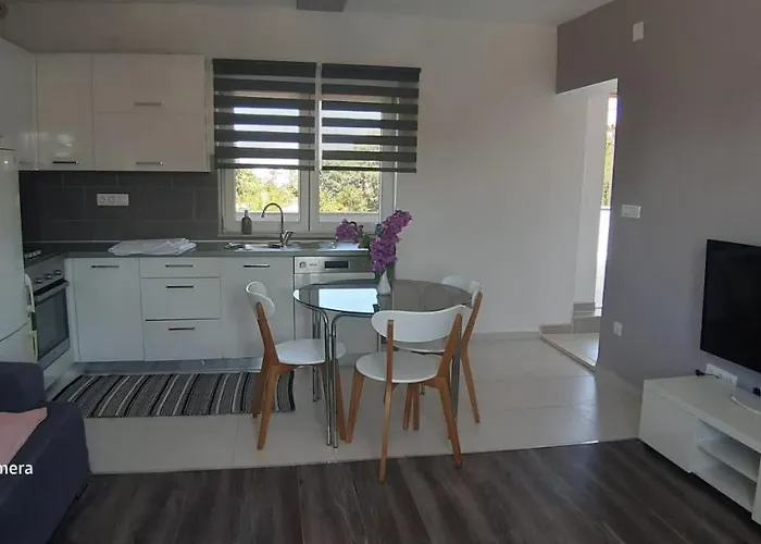 Katarina 파코스탄